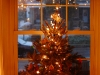 2009-12-05 Tree & Seven Weeks 017